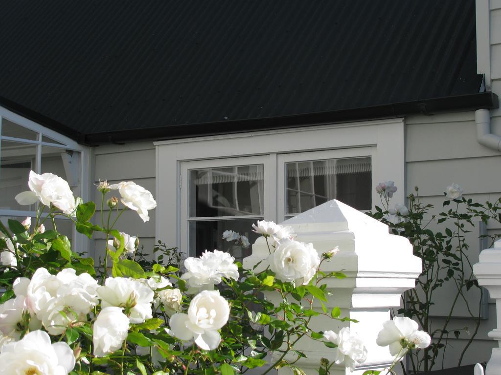 Historic Colenso Cottage 네이피어 외부 사진